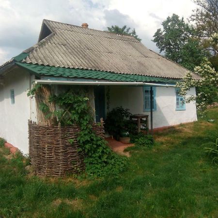 Дибинецькі Карпати Dybintsy المظهر الخارجي الصورة